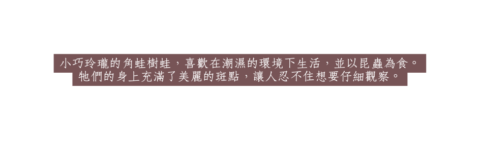 小巧玲瓏的角蛙樹蛙 喜歡在潮濕的環境下生活 並以昆蟲為食 牠們的身上充滿了美麗的斑點 讓人忍不住想要仔細觀察